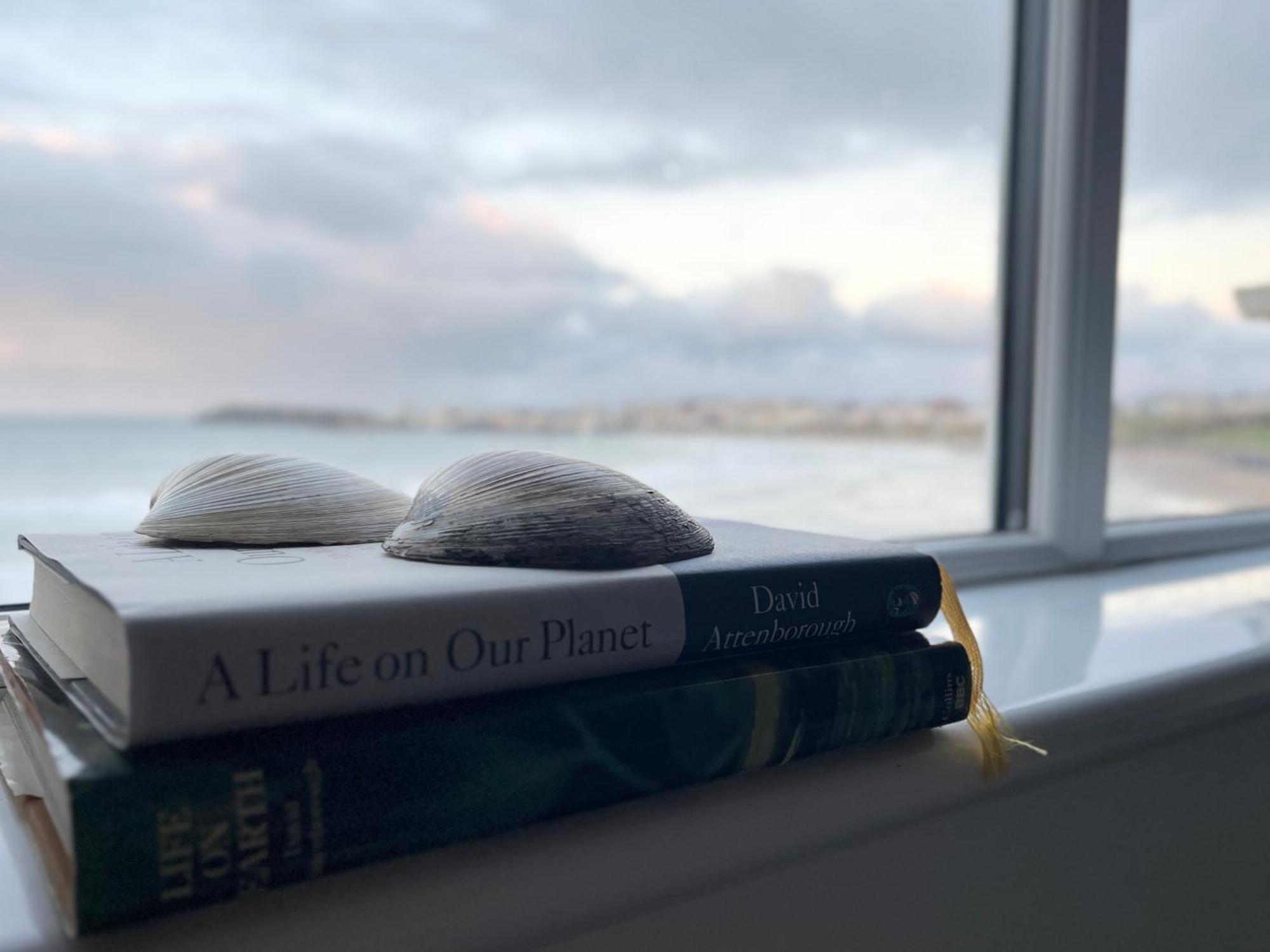 Sound Of The Sea - Penthouse In Portrush Apartment ภายนอก รูปภาพ